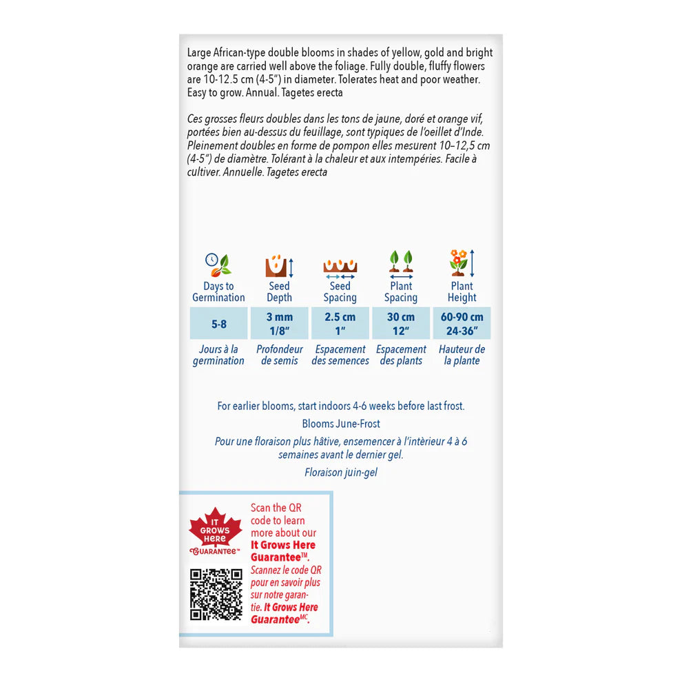 Crackerjack Marigold Seeds - Value Size