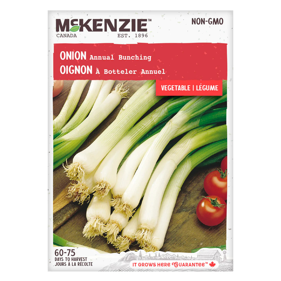 Annual Bunching Onion Seeds