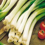 Annual Bunching Onion Seeds