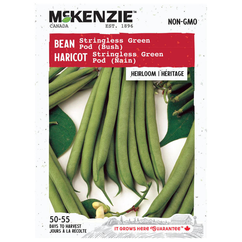 Stringless Green Pod Bean Seed