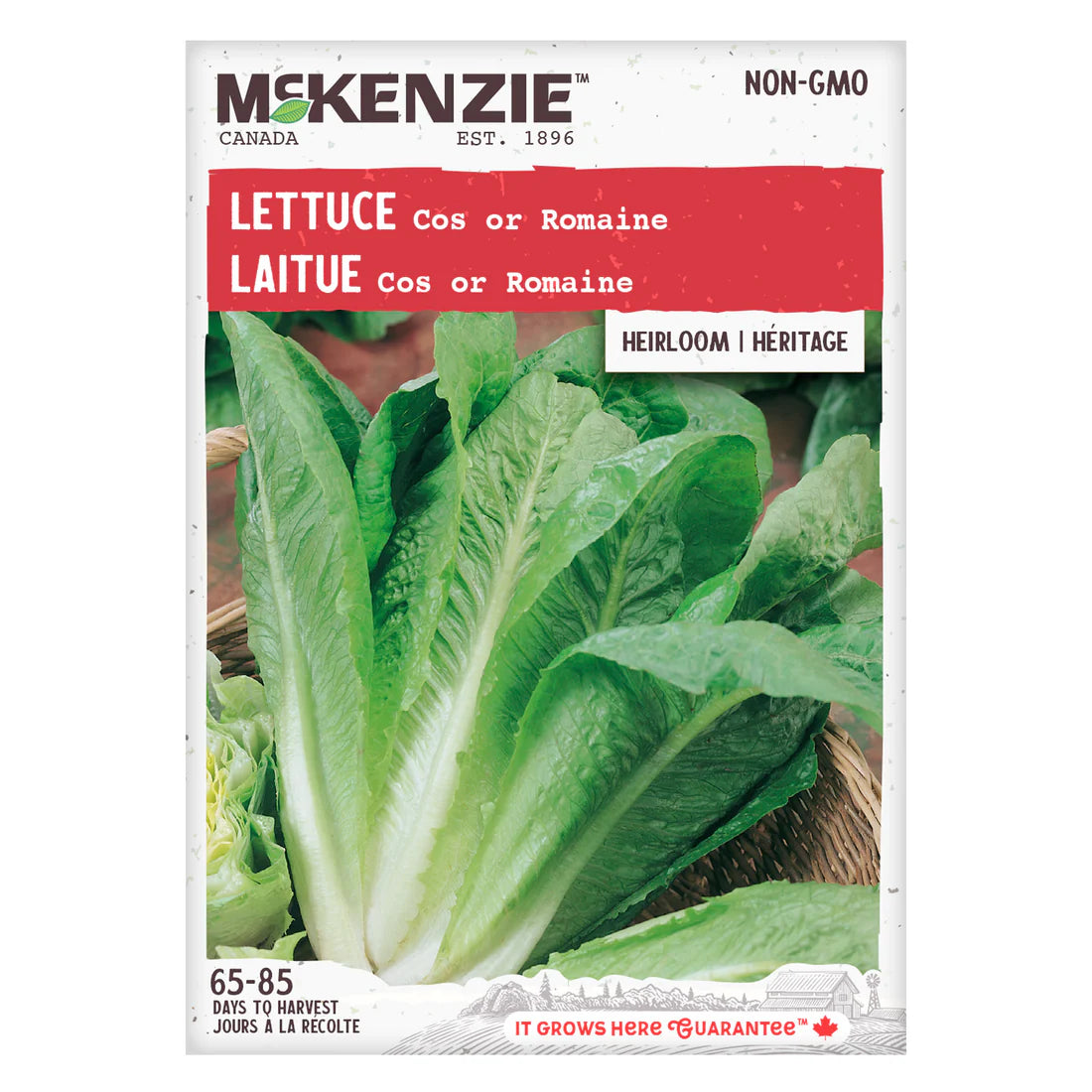 Romaine Lettuce Seeds