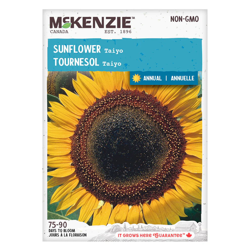 Taiyo Sunflower Seeds
