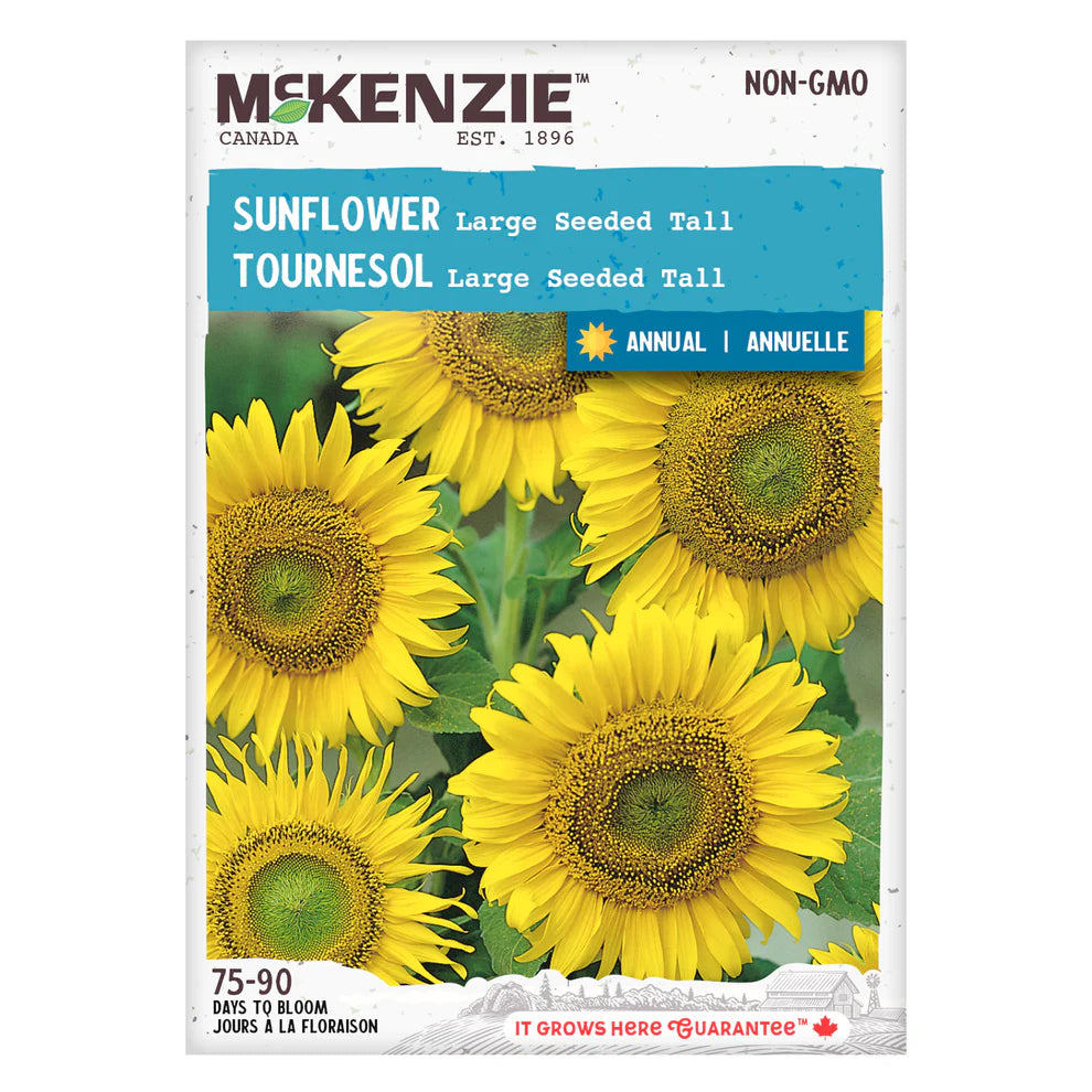 Large Seeded Tall Sunflower Seeds