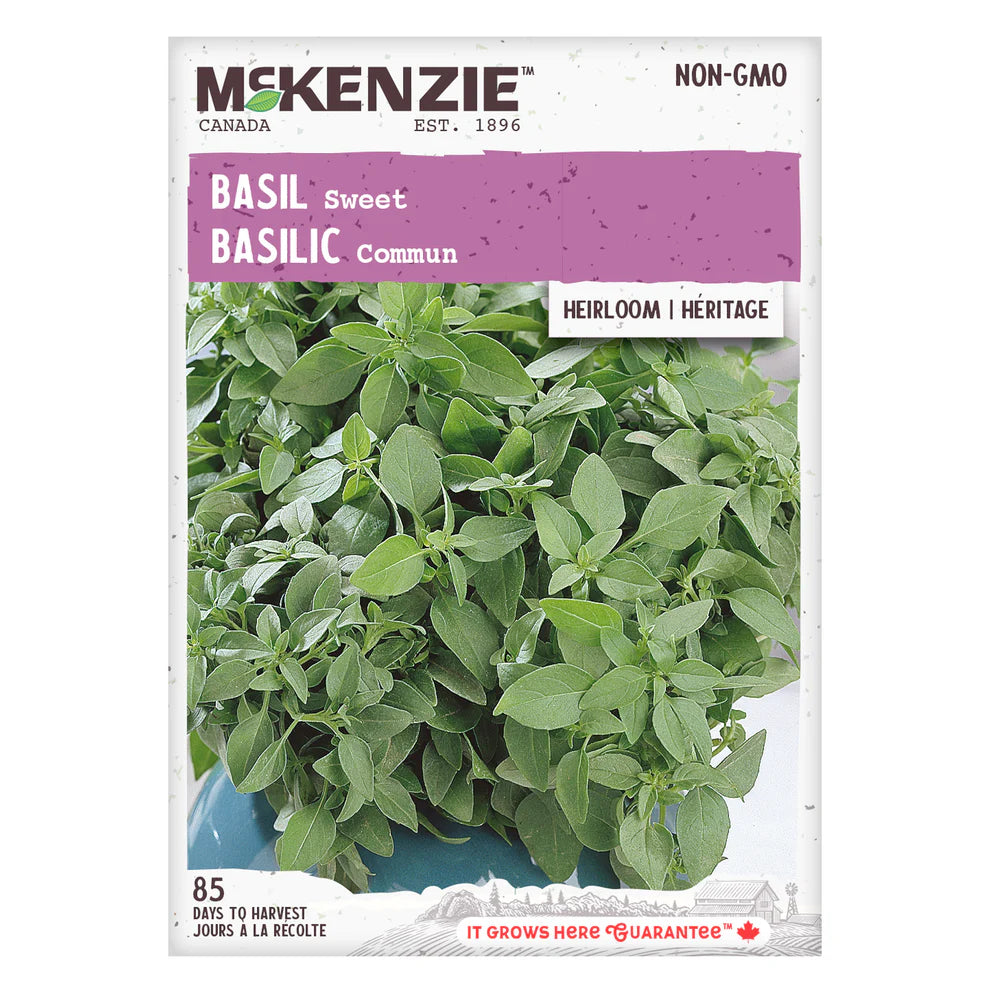 Sweet Basil Seeds