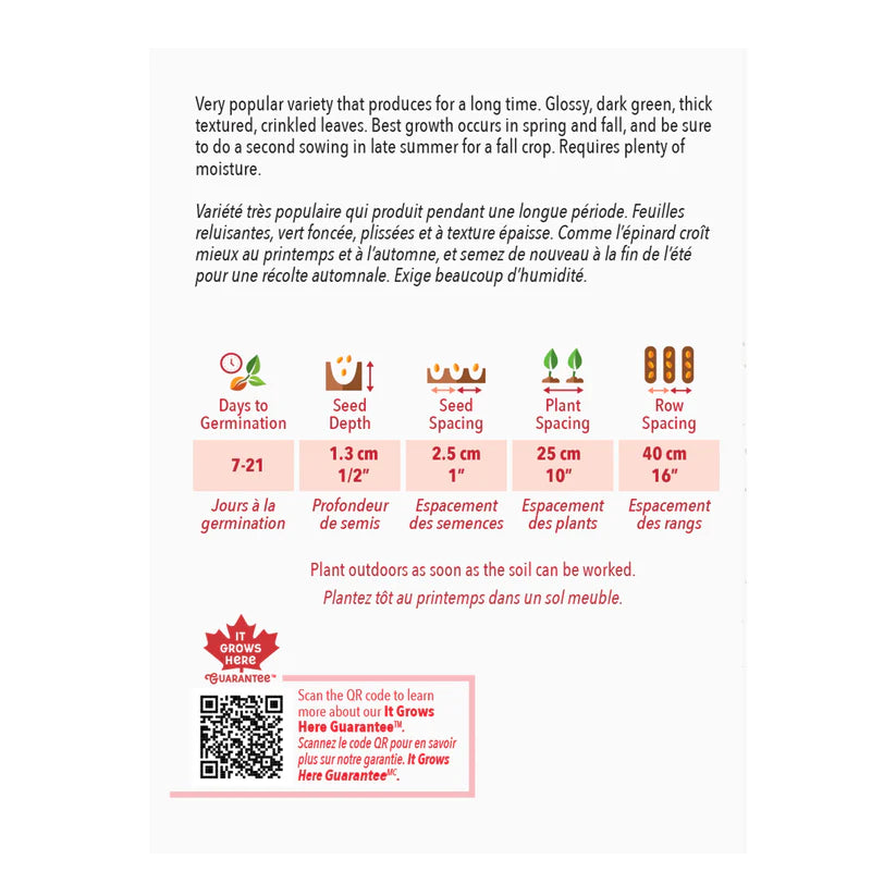 Long Standing Bloomsdale Spinach Seeds