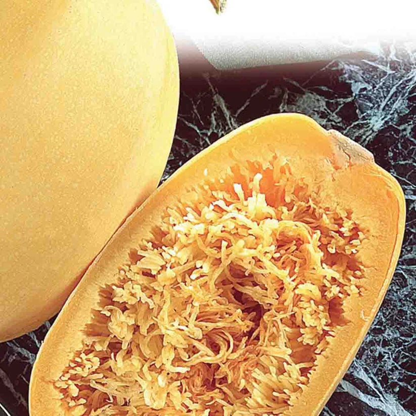 Vegetable Spaghetti Squash Seeds