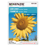 Golden Hedge Sunflower Seeds