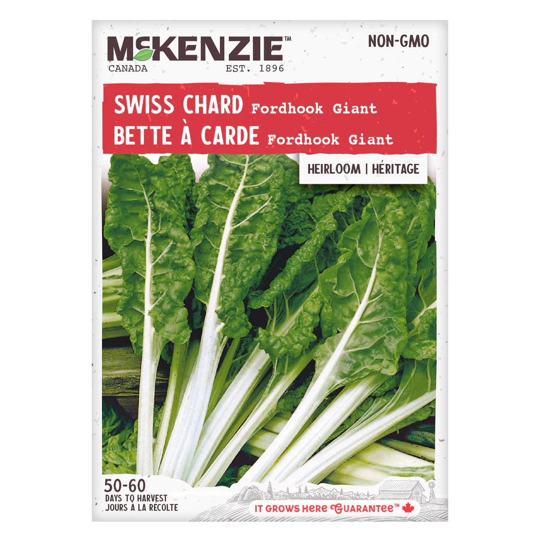 Fordhook Giant Swiss Chard Seeds