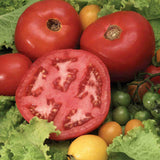 Beefsteak Tomato Seeds