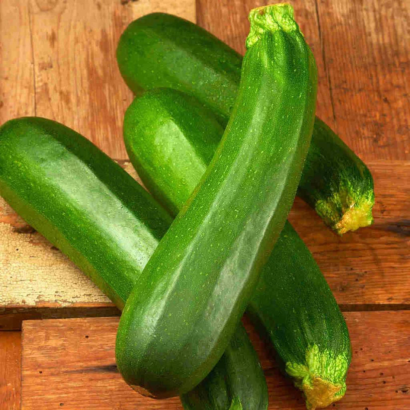 Dark Green Zucchini Seeds