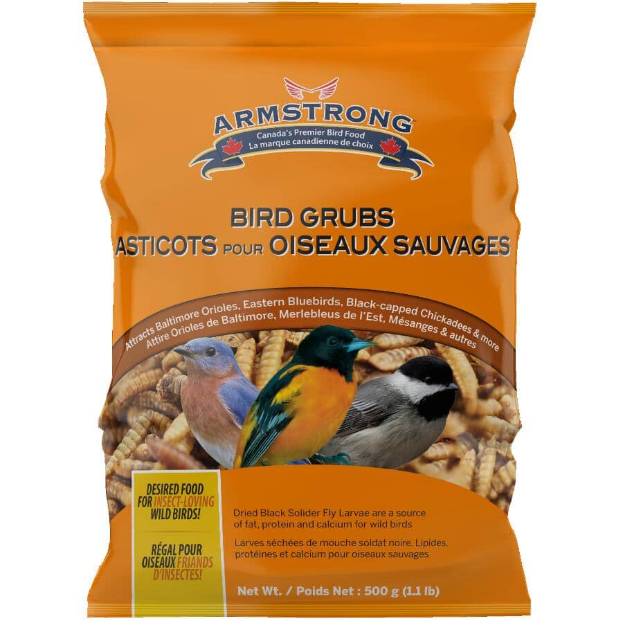 Bird Grubs - 500 g