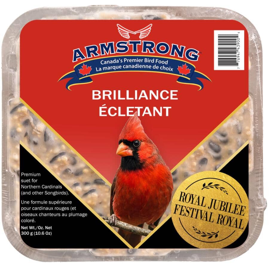 Royal Jubilee Suet Cakes Bird Food - Brilliance, 300 g, 3 Pack
