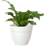 12" Capri Campana Round Planter - White