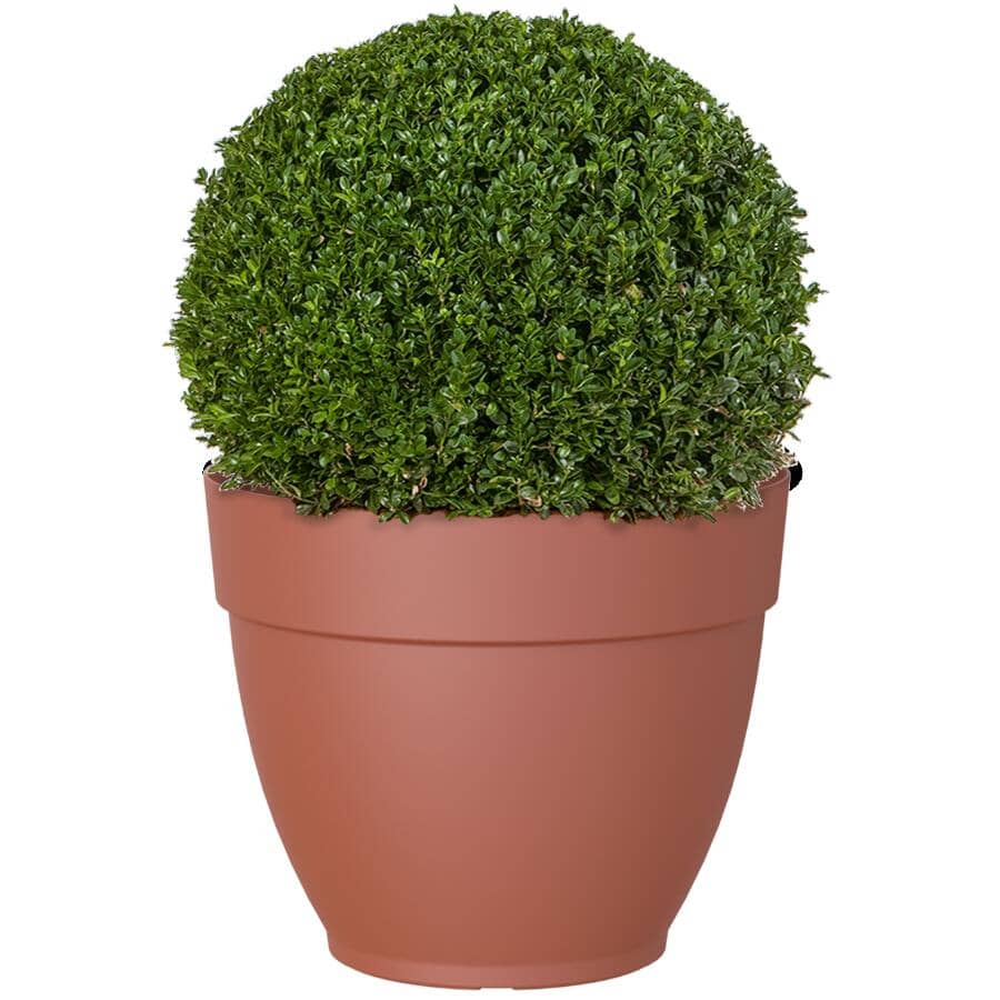 12" Capri Campana Round Planter - Terracotta