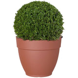 12" Capri Campana Round Planter - Terracotta