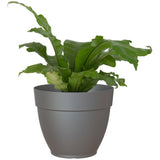 12" Capri Campana Round Planter - Anthracite