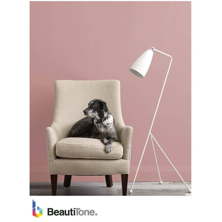 Interior Acrylic Latex Eggshell Paint & Primer - High Hide White, 911 ml