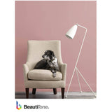 Interior Acrylic Latex Eggshell Paint & Primer - High Hide White, 911 ml