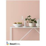 Interior Acrylic Latex Flat Paint & Primer - Medium Base, 3.48 L