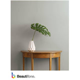 Interior Acrylic Latex Velvet Paint & Primer - Clear Base, 3.4 L