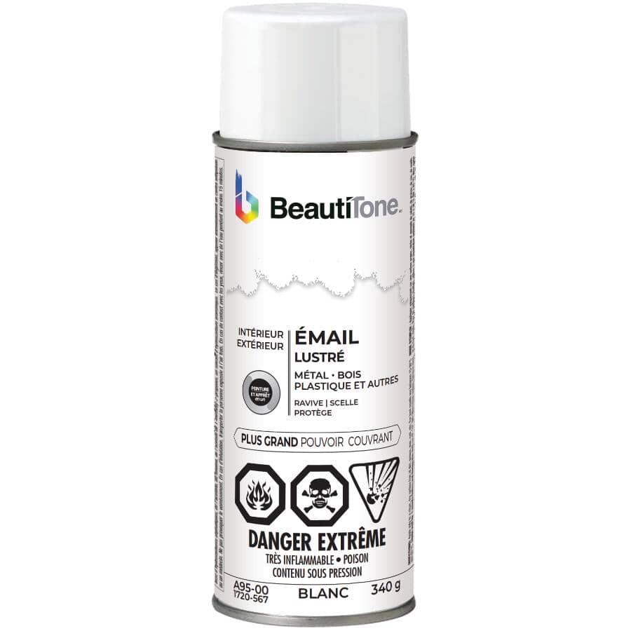 Enamel Interior / Exterior Spray Paint - Gloss White, 340 g