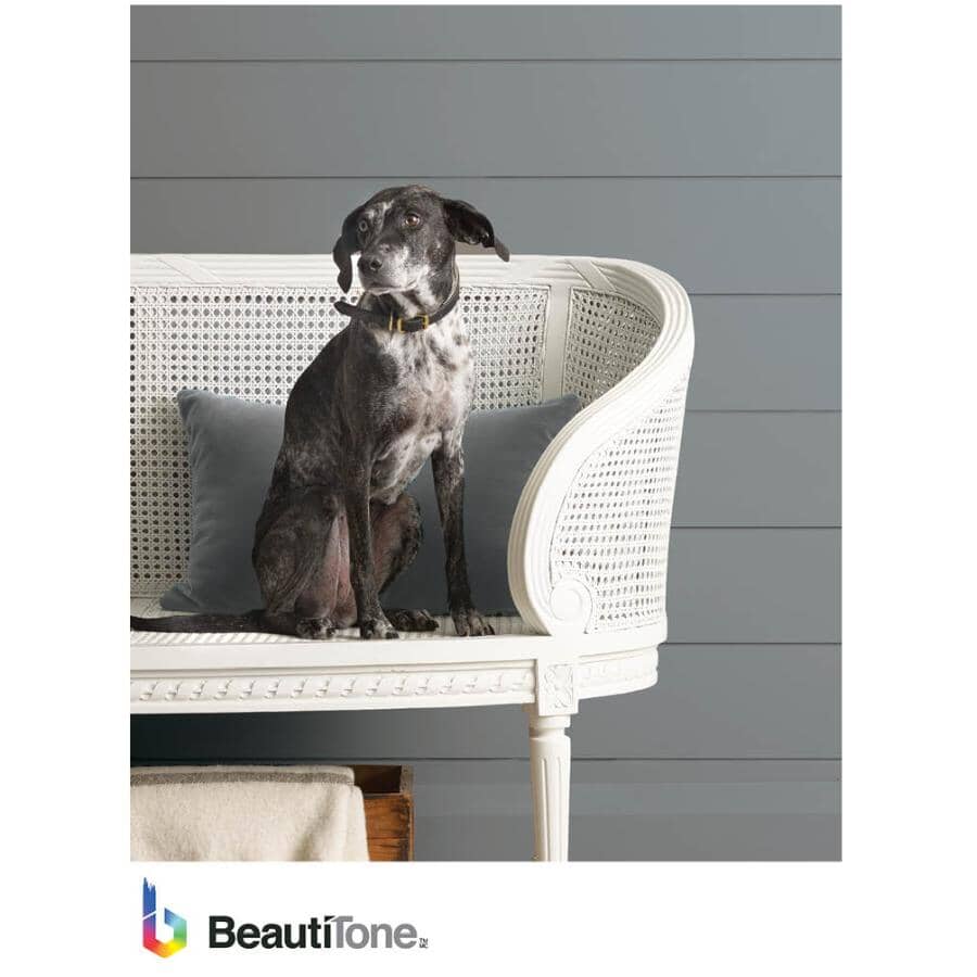 Interior Latex Enamel Eggshell Paint - High Hide White, 18.2 L