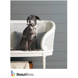 Interior Latex Enamel Eggshell Paint - High Hide White, 18.2 L