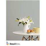 Interior Latex Ultra Flat Touch-Up Paint - White, 18.2 L