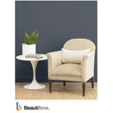 Interior Acrylic Latex Velvet Paint - High Hide White, 3.64 L