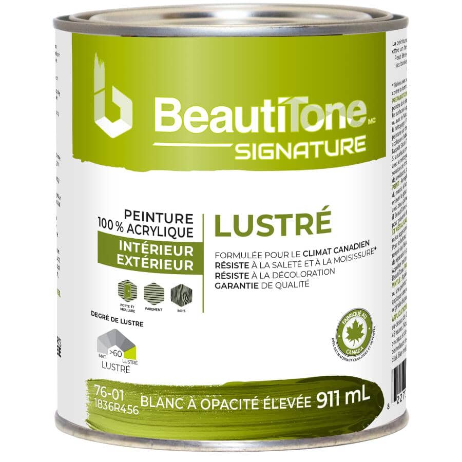 Interior / Exterior Acrylic Latex Gloss Paint - High Hide White, 911 ml