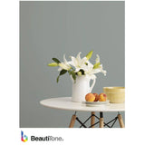 Interior / Exterior Acrylic Latex Gloss Paint - Black, 3.7 L