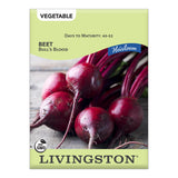 Bull's Blood Beet Seeds