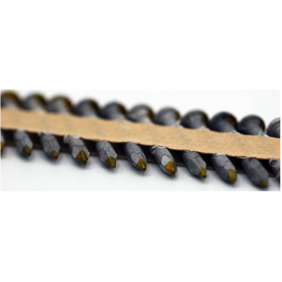 1-1/2" Hot Dipped Galvanized Joist Hanger Nails - 1000 Pack