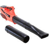 Lithium-Ion Cordless Leaf Blower - 60 Volt