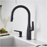 Rivana Single Handle Pull-Down Kitchen Faucet - Matte Black