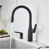 Rivana Single Handle Pull-Down Kitchen Faucet - Matte Black