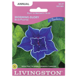 Blue Picotee Morning Glory Seeds
