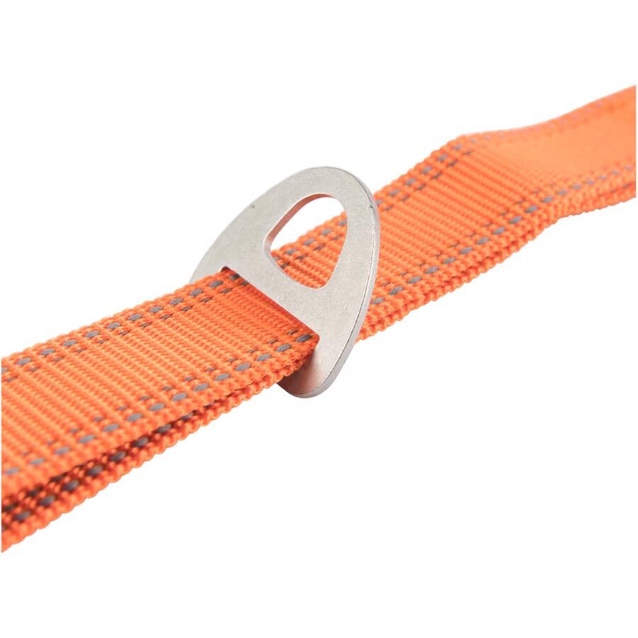 Polyester Webbing Dog Leash - Safety Orange, 1" x 6'
