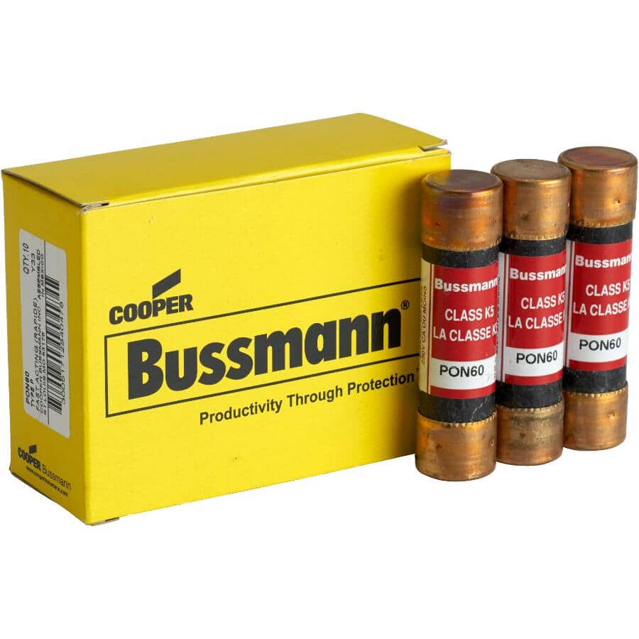 Bulk 60 Amp Cartridge P Fuse