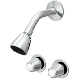 2 Handle Shower Stall Faucet - with ShowerHead, Chrome
