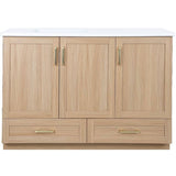 49" x 19" Marien Vanity with Cultured Marble Top - 3 Doors + 2 Drawers, Brown