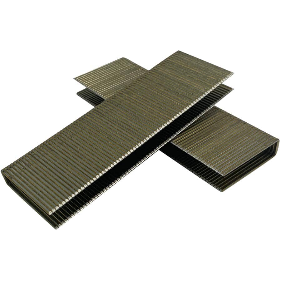 2" 15.5 Gauge Flooring Staples - 1000 Pack