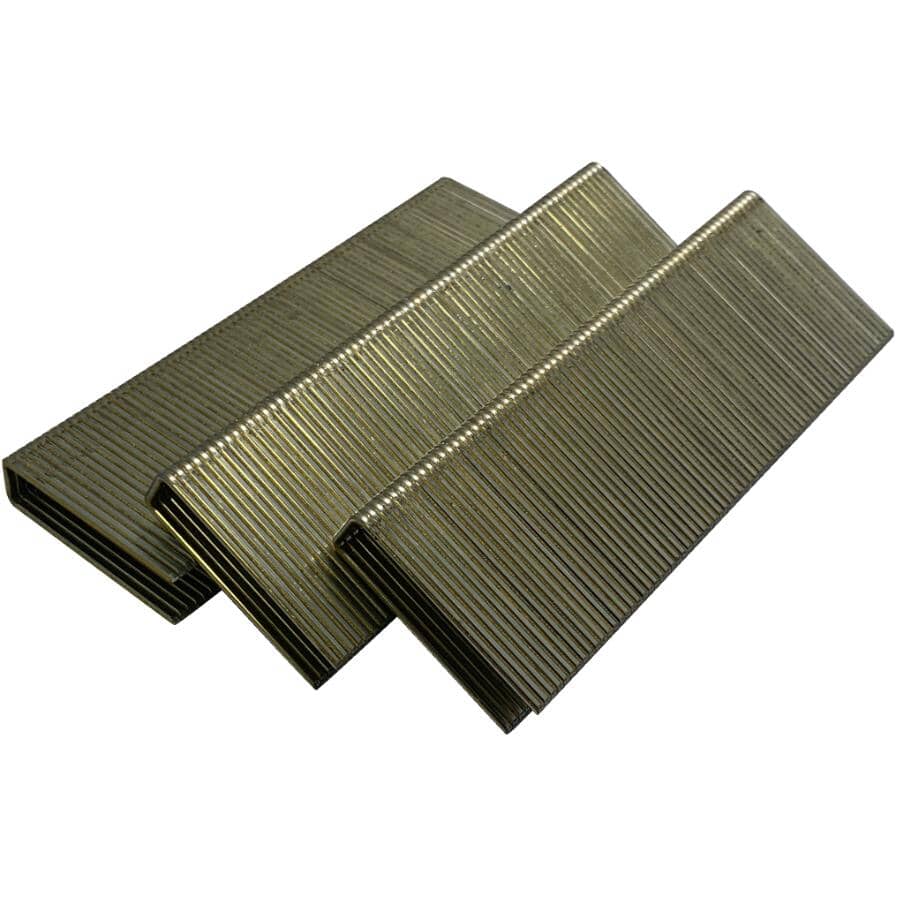 2" 15.5 Gauge Flooring Staples - 1000 Pack