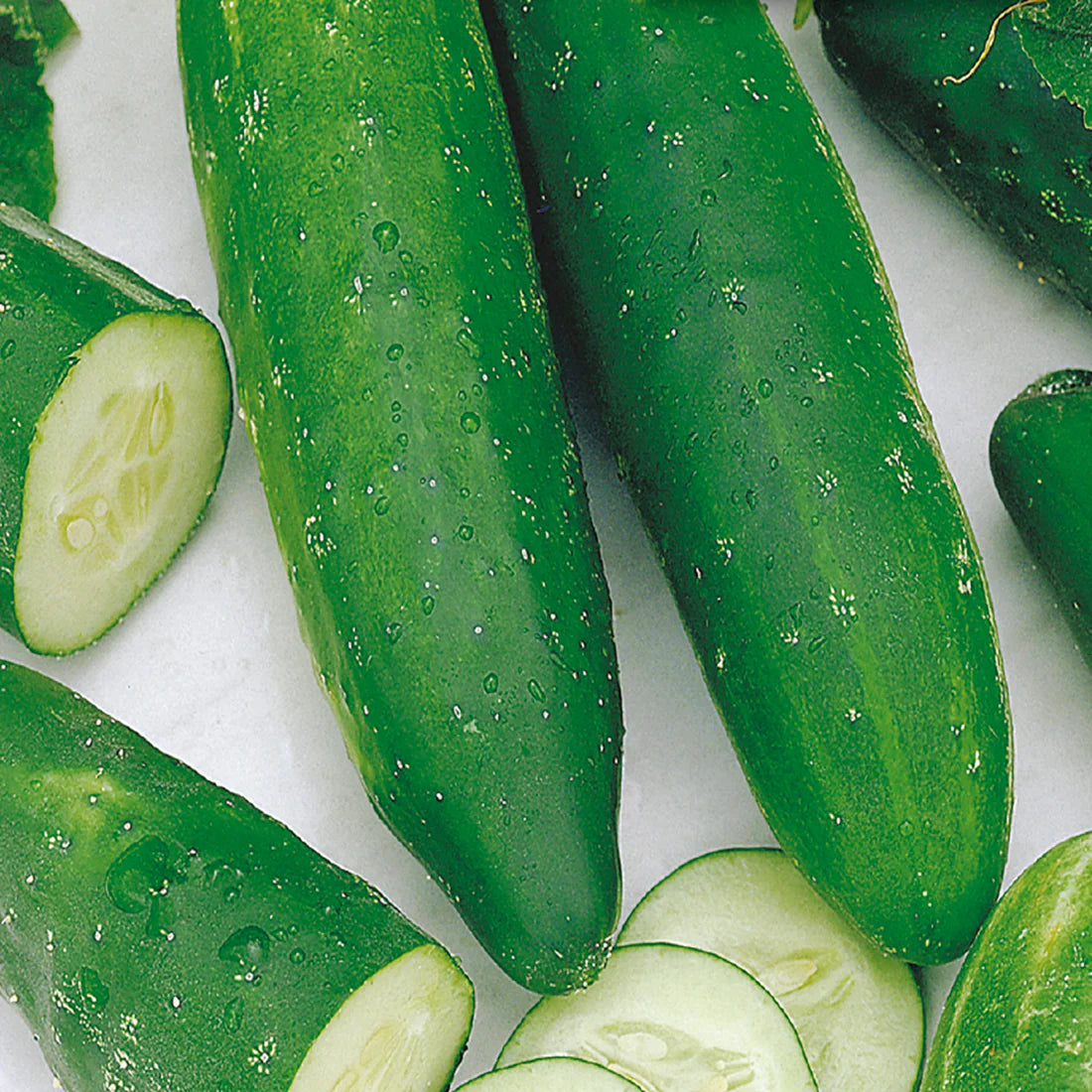 Improved Long Green Cucumber Seeds