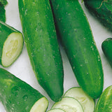 Improved Long Green Cucumber Seeds