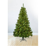 6.5' Noble Pine Tree - with 300 Warm White Microdot Tape LEDs