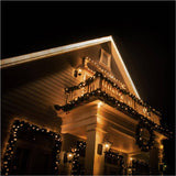 C6 Light Set with Green Wire - Warm White, 50 LEDs