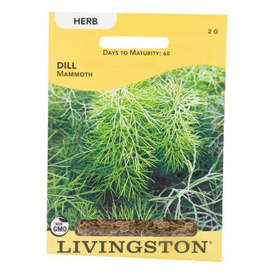 Mammoth Dill Seeds