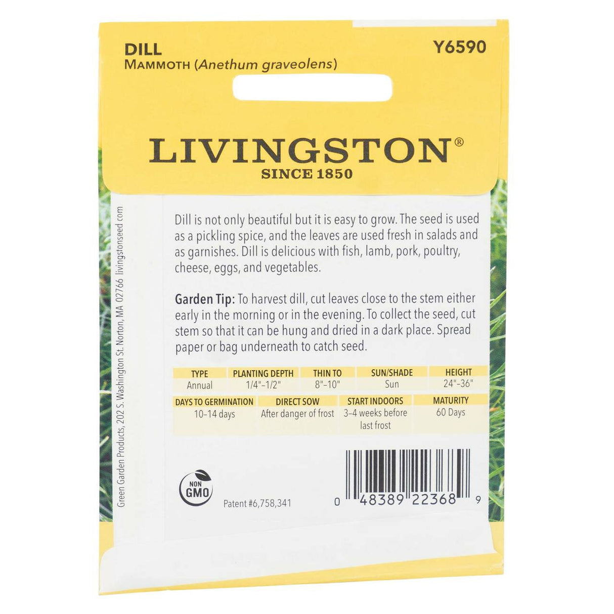 Mammoth Dill Seeds