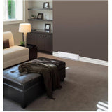 Convection Baseboard Heater - with Thermostat, 240V, 750W